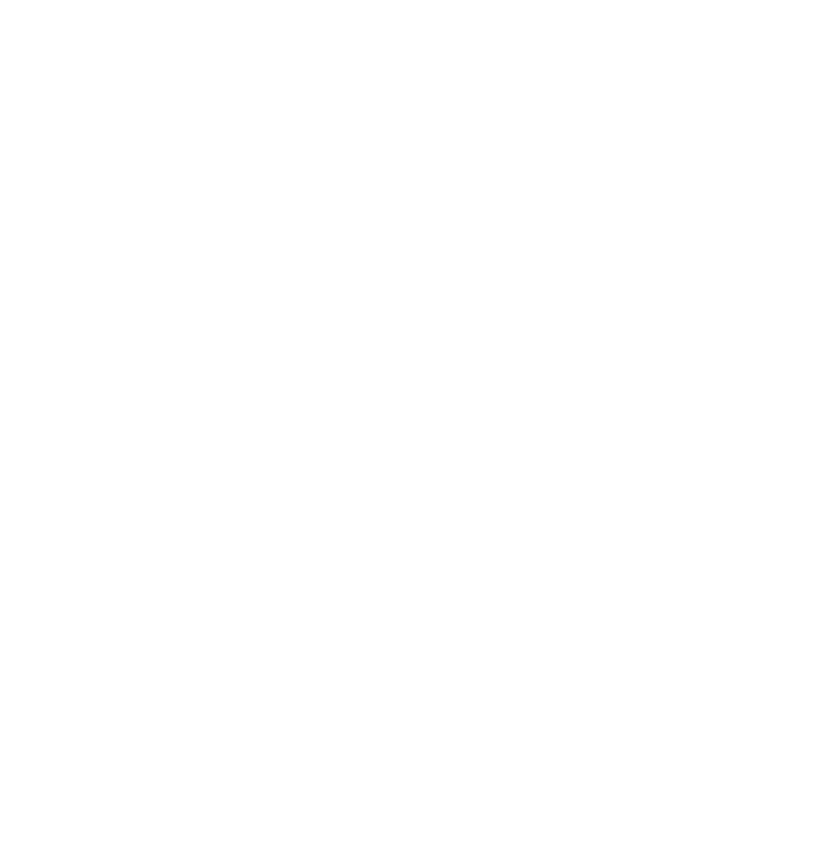 Skyline Inspections