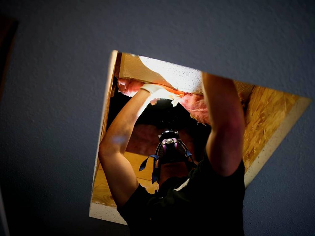 Roof Inspection